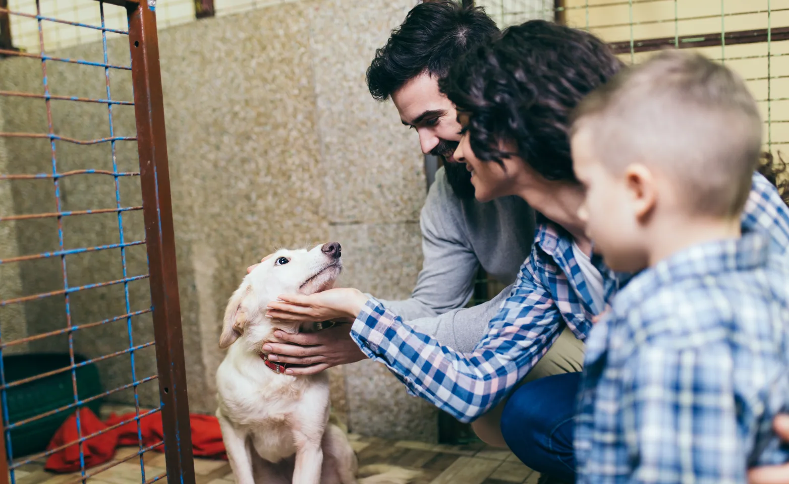 family adopting pet at the shelter